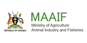 MAAIF_logo